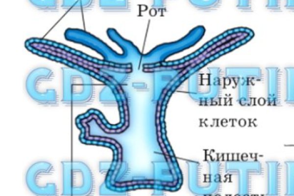 Кракен шоп зеркало